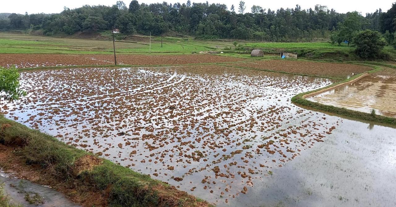 Coorg Coffee Park Farmstay Somvarpet Exterior photo
