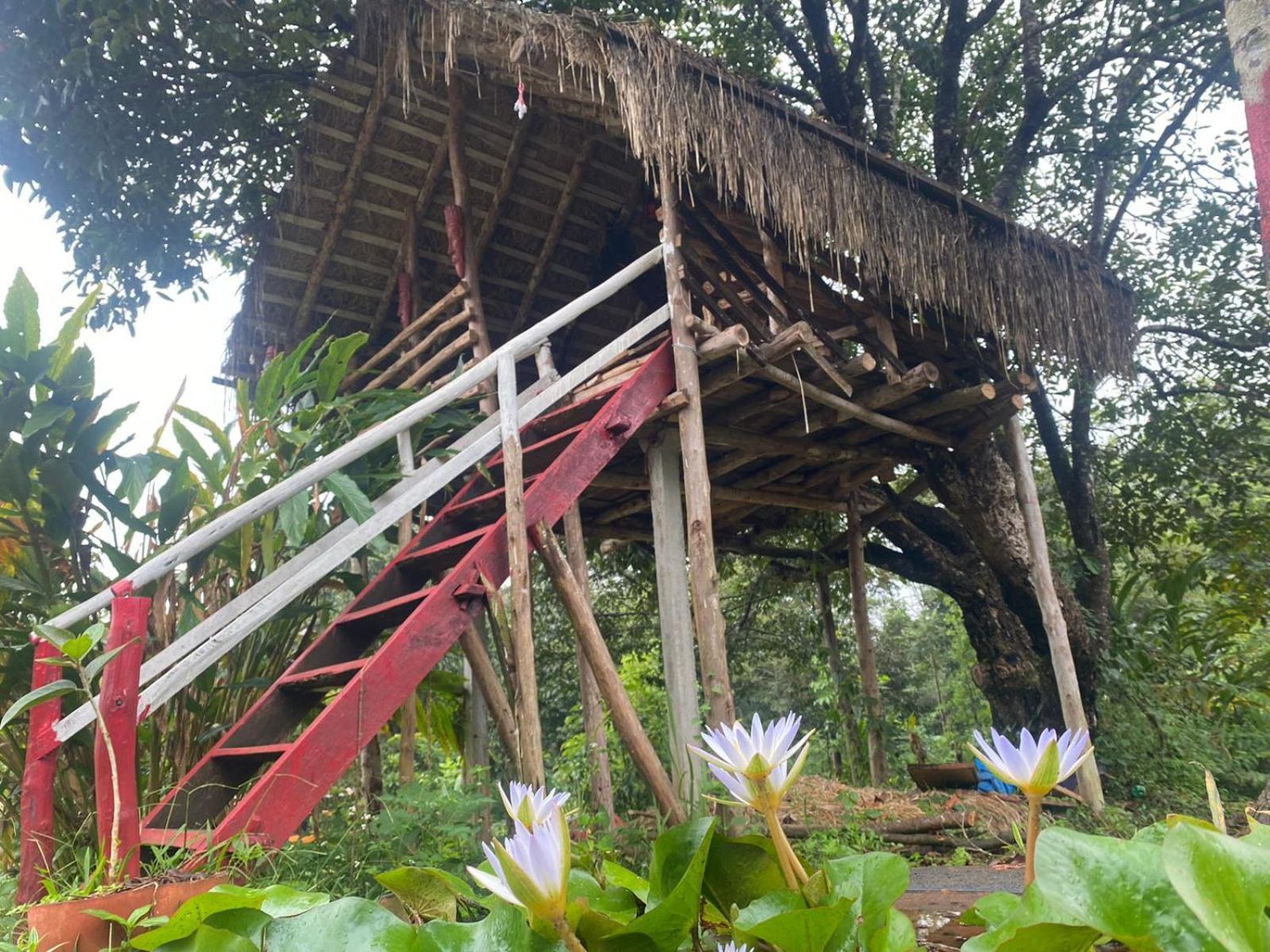 Coorg Coffee Park Farmstay Somvarpet Exterior photo